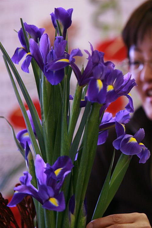 bunch of flowers