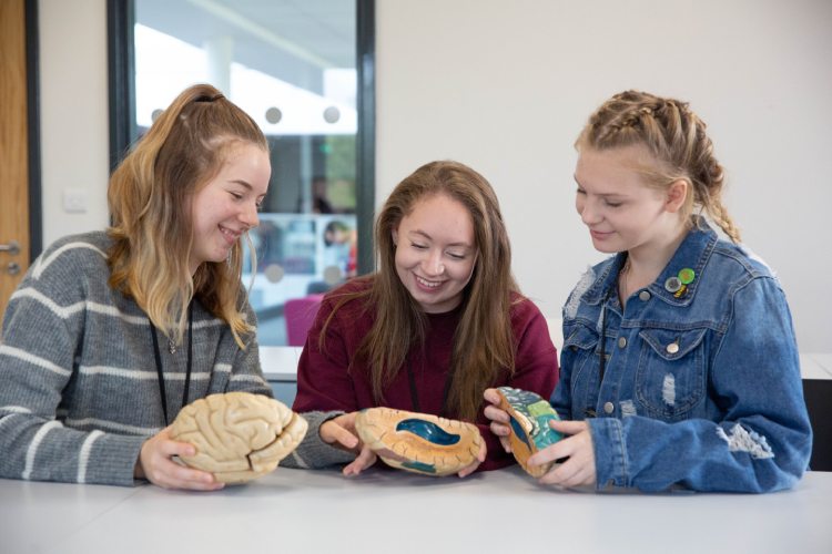 Students working on a psychology project