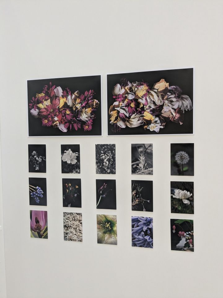 Student exhibition